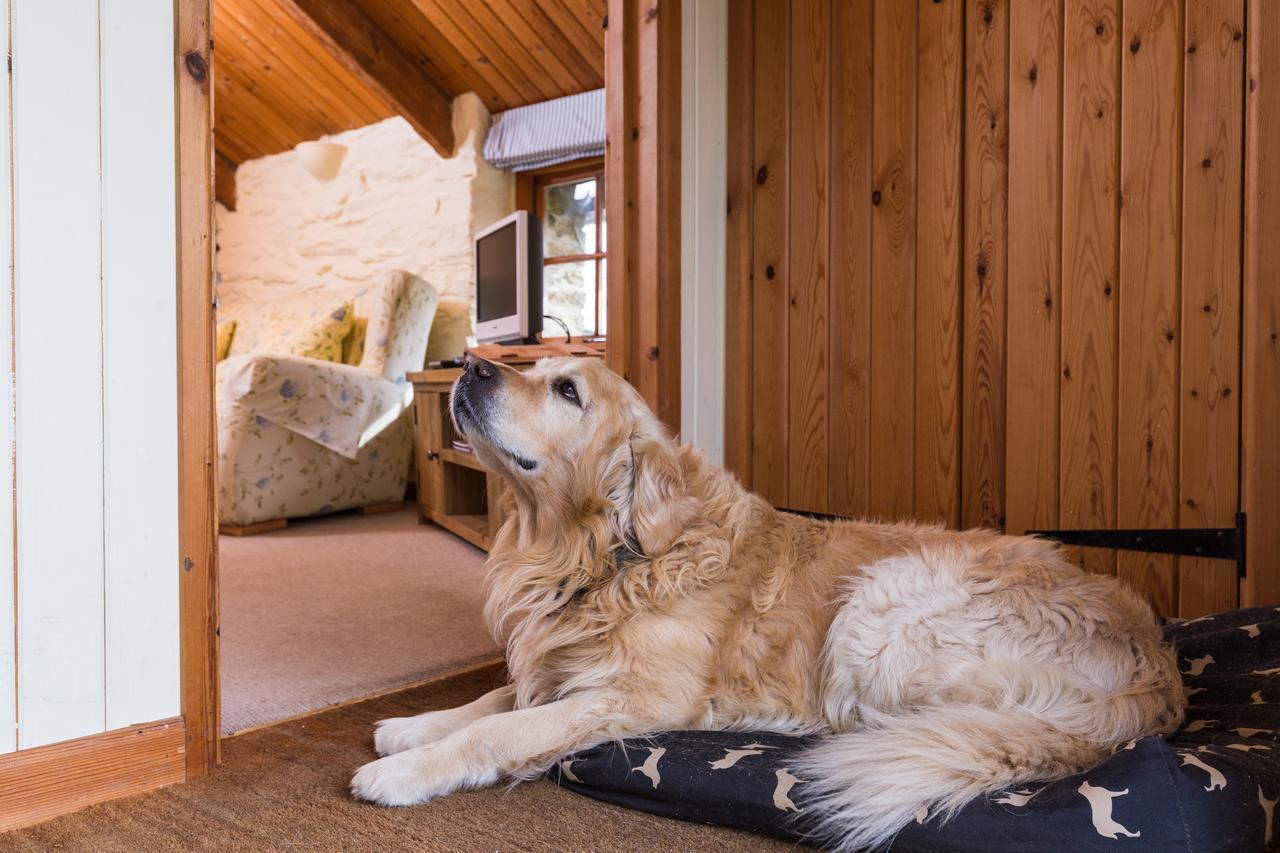 Trenderway Farm Bed & Breakfast ลู ภายนอก รูปภาพ