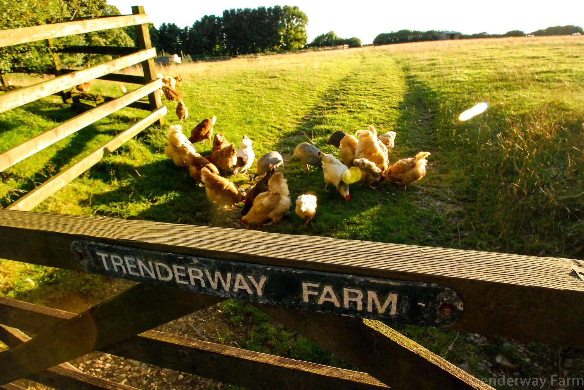 Trenderway Farm Bed & Breakfast ลู ภายนอก รูปภาพ